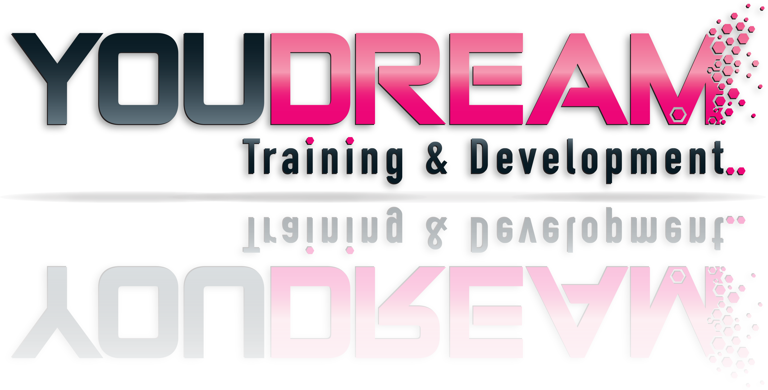 YouDream LOGO3D